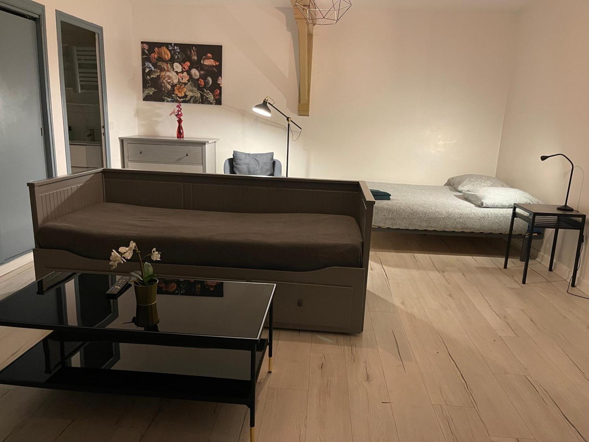 015 Chic & Cosy Studio 41M2 Hypercentre Wifi Smart Tv Netflix Saint-Etienne  Dış mekan fotoğraf
